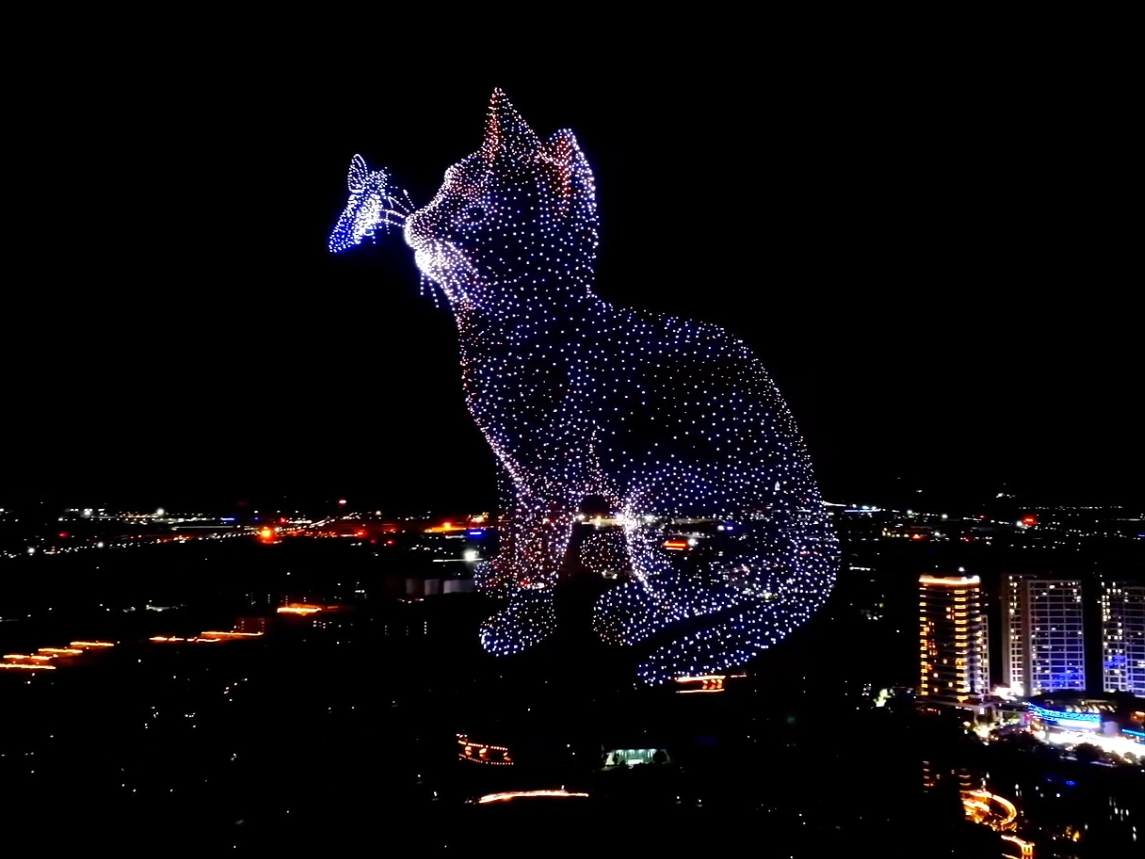 Drone formation of a cat above a city skyline